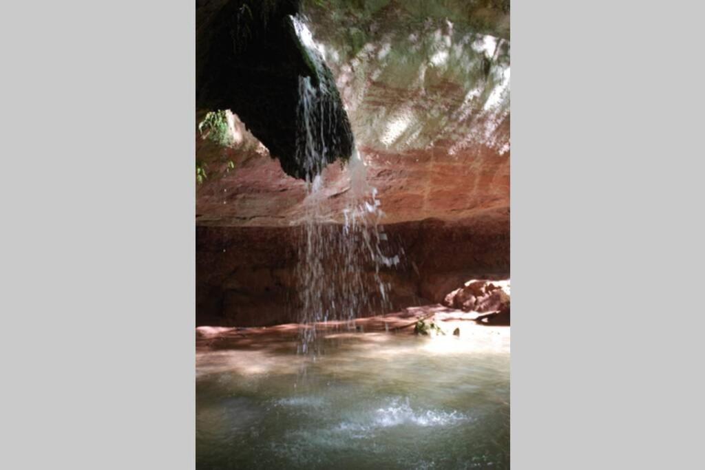 Mazet dans résidence avec piscine Bagnols-en-Forêt Extérieur photo